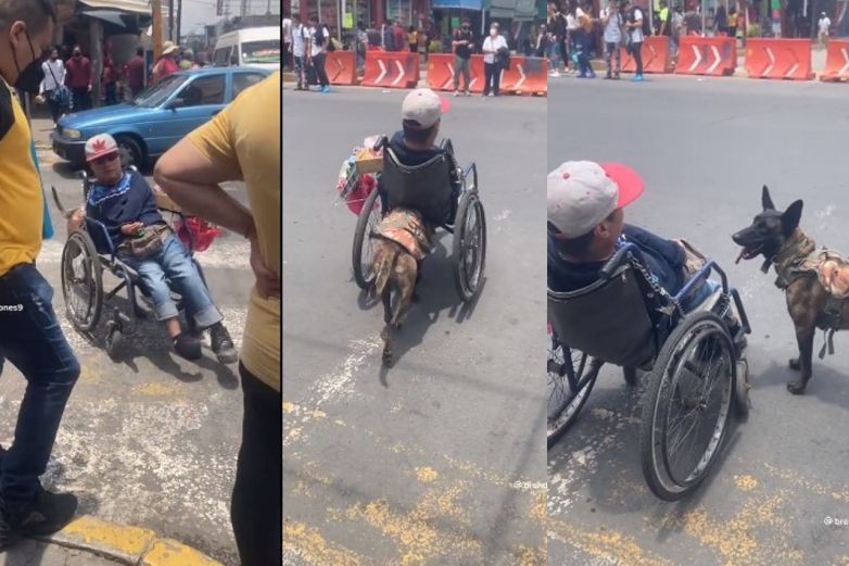 Video: Perrito empuja silla de ruedas de su dueño; le ayuda a vender dulces