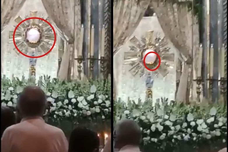 Video: Graban momento en que hostia comienza a 'palpitar' en una celebración
