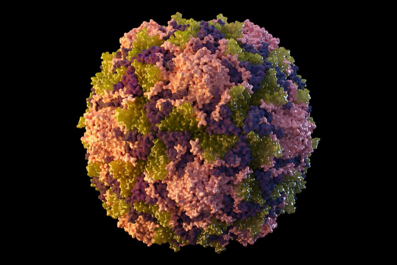 Encuentran un extraño virus en la fosa más profunda del océano
