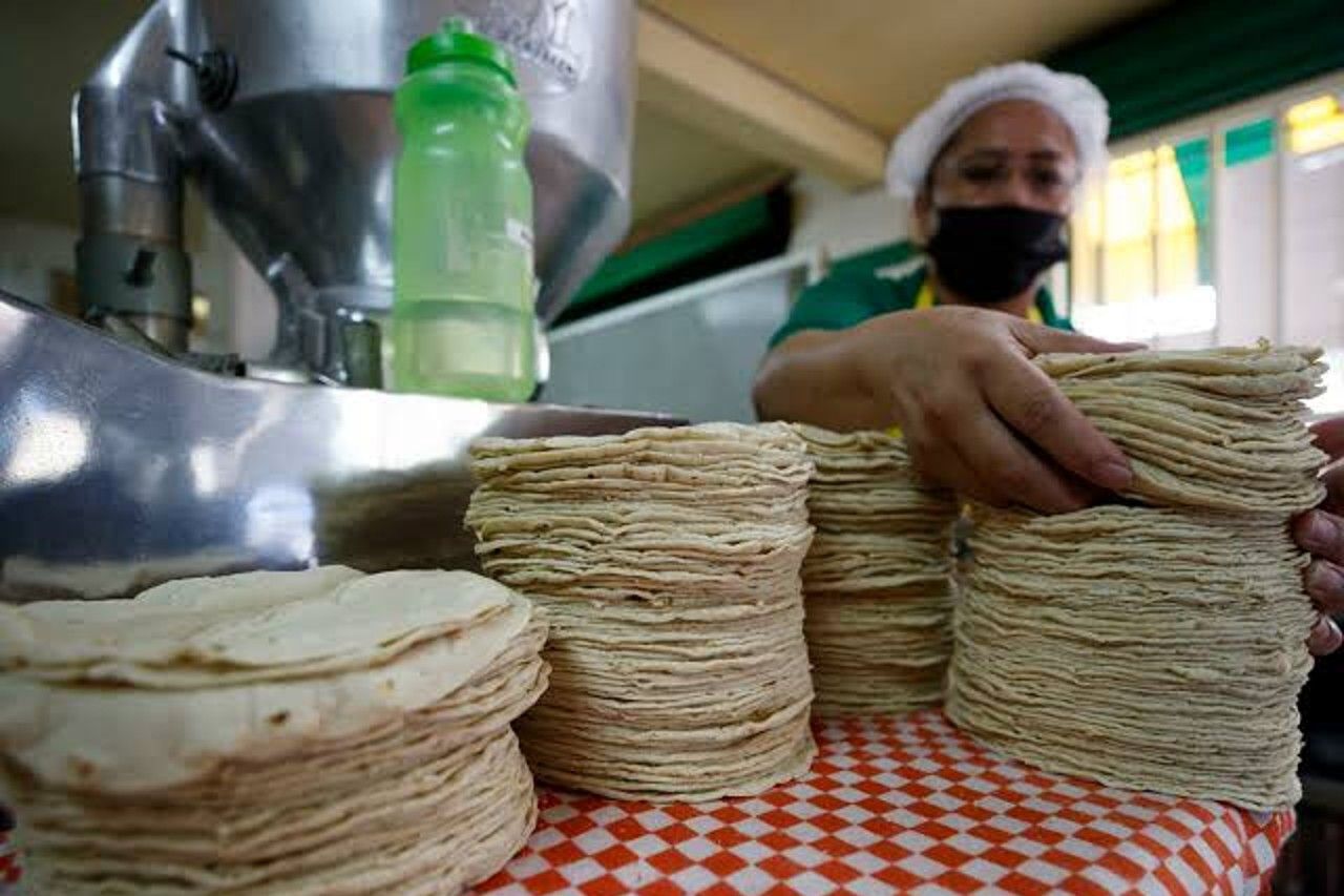 Analiza AMLO subsidiar precio de la tortilla para evitar aumentos