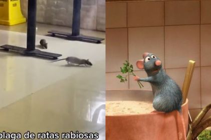 Video: ¿Eres tú, chefcito? Exhiben ratas dentro de restaurante