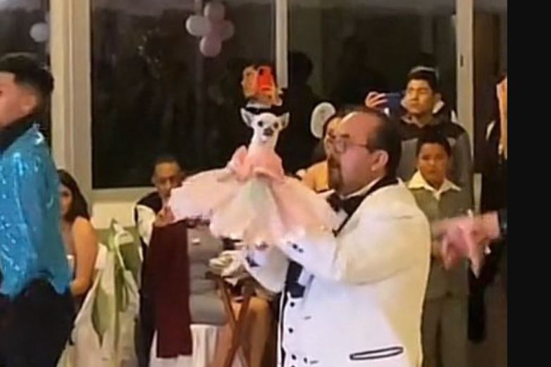 Video: Celebran XV años de perrita chihuahua y se viraliza
