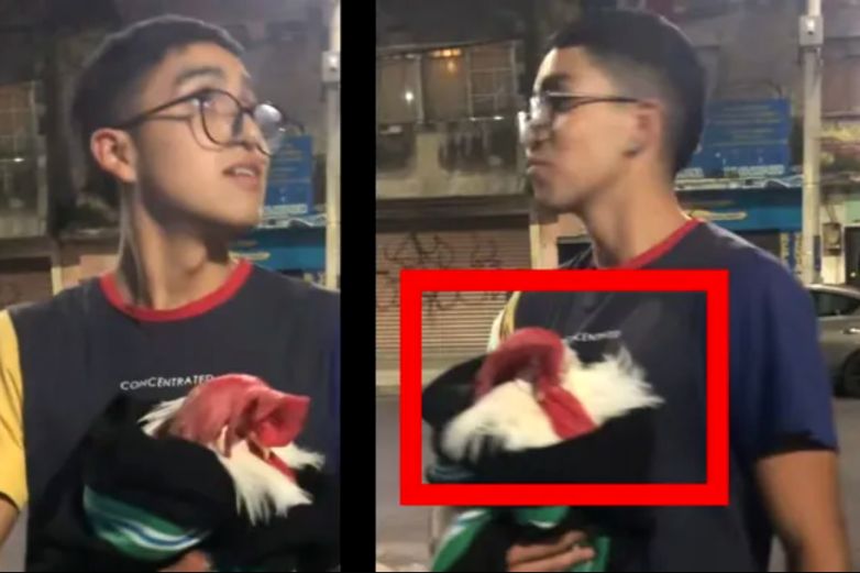 Video: Saca su gallo envuelto en cobijas tras sismo en CDMX