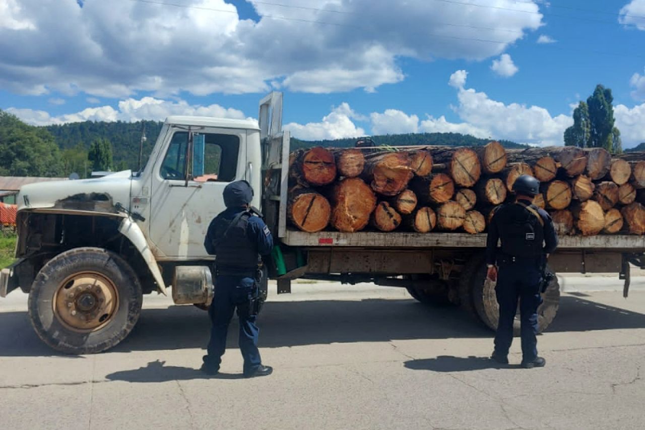 Aseguran madera talada ilegalmente en San Juanito