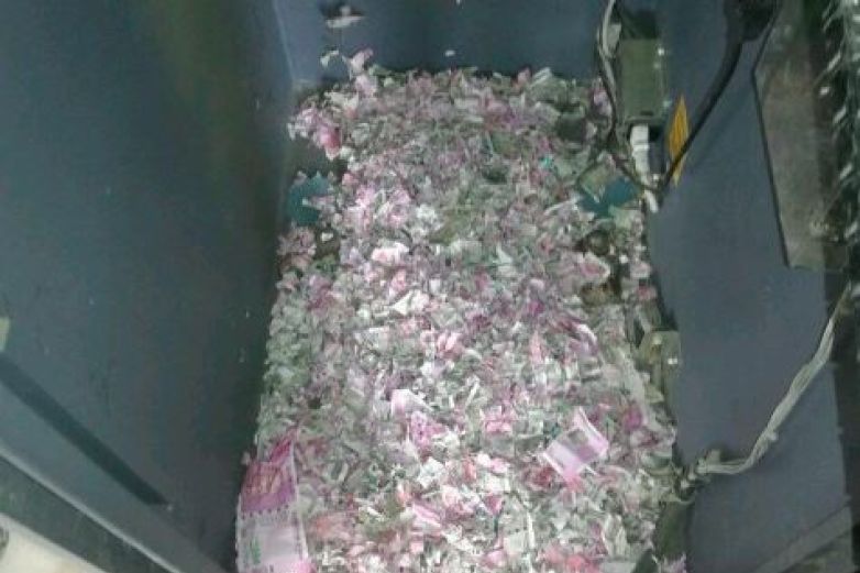 Ratas Se Comen Más De 300 Mil Pesos En Un Cajero Automático 5471