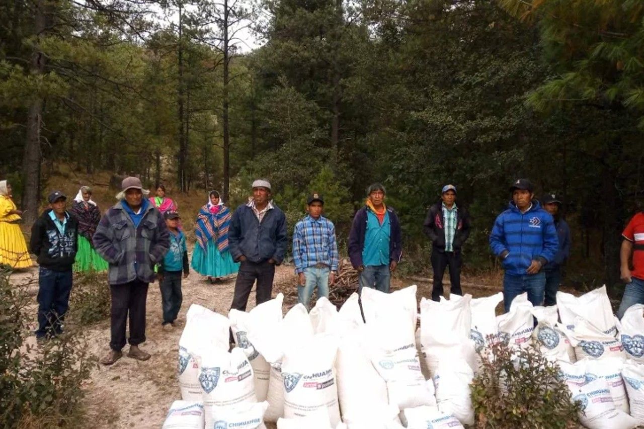 Entrega Estado apoyo de alimentos a 500 familias en Batopilas