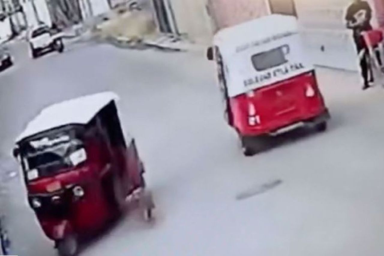 Video: Perrito derriba mototaxi en Oaxaca y se da a la fuga