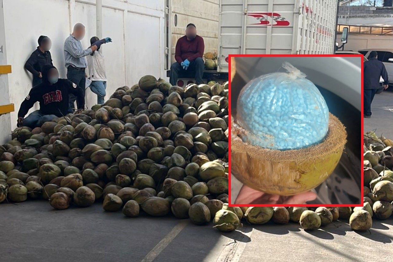 Esconden 300 kilos de fentanilo dentro de cocos