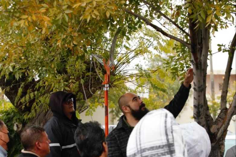 Concluye capacitación con taller práctico de poda en El Chamizal