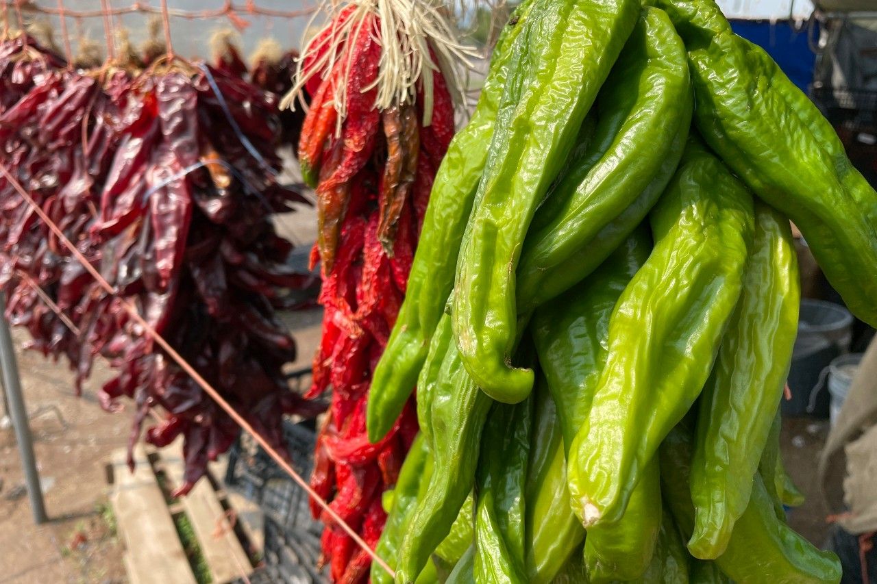 Nuevo México busca que el chile verde asado sea el aroma oficial estatal