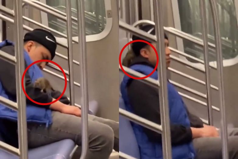Video: Se queda dormido en el metro y enorme rata pasea sobre él