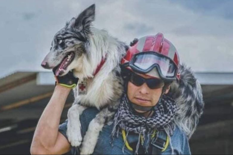 Balam, el perrito que sobrevivió a envenenamiento y hoy salva vidas en Turquía