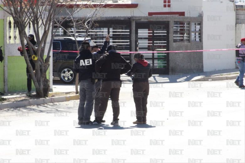 Net Noticias