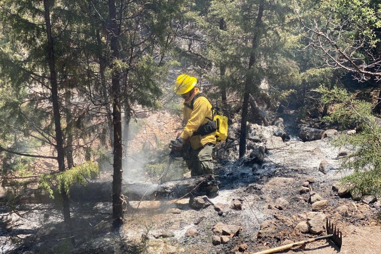 Reportan 6 Incendios Activos En Chihuahua Que Afectan 77 Hectáreas