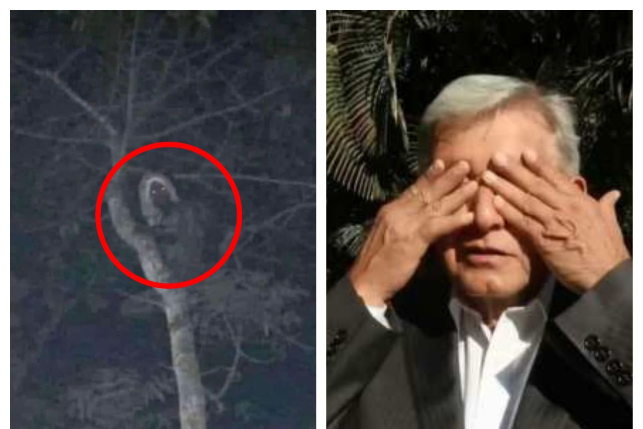 Comparte AMLO foto de un ‘aluxe’; es falsa