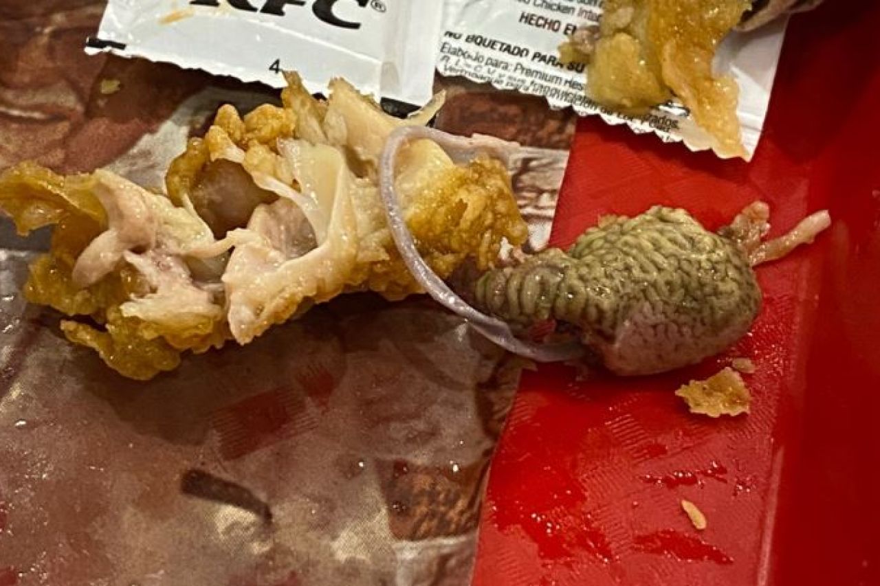 Encuentra un 'cerebro' en su pollo de KFC