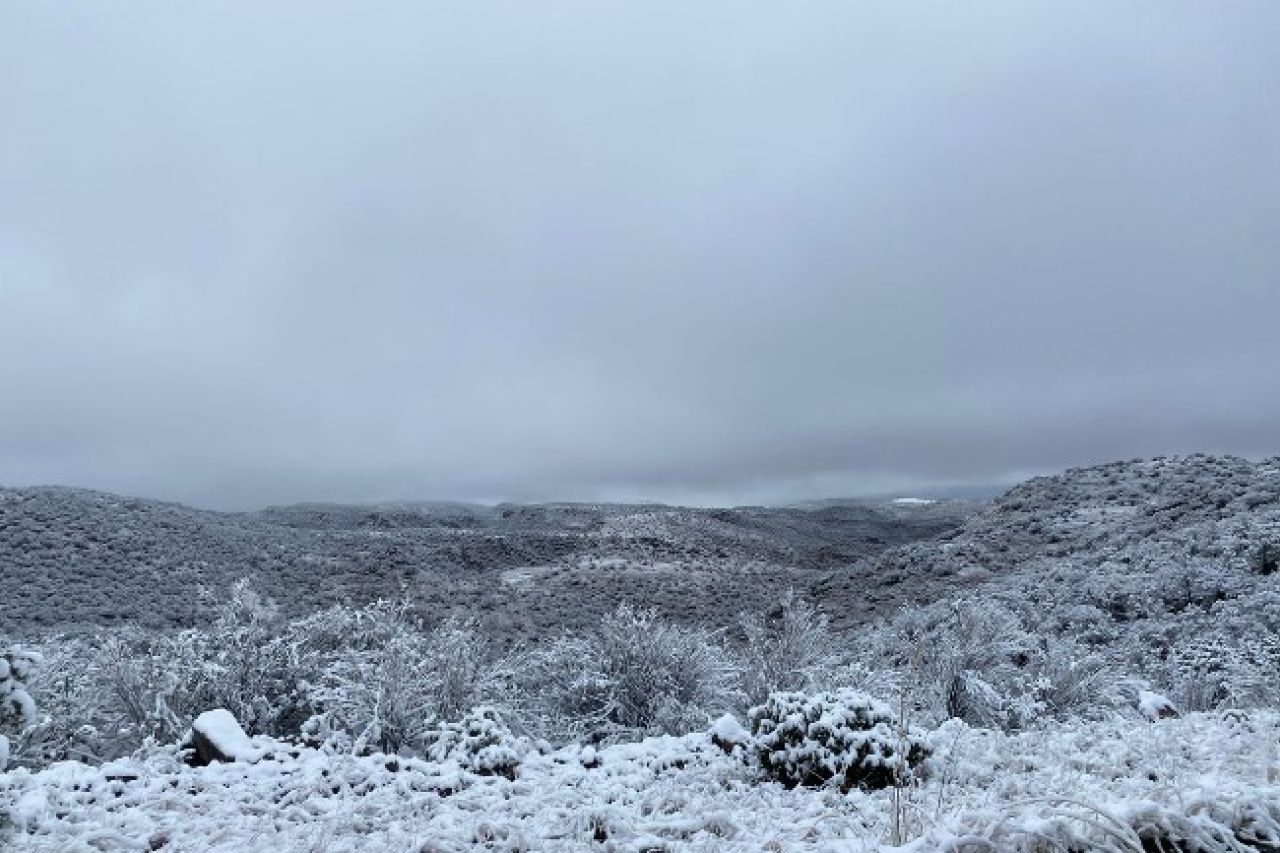 Décima Tormenta Invernal deja fuertes nevadas en 18 municipios de Chihuahua