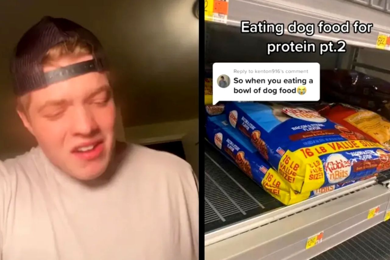 Video: Come croquetas de perro para crecimiento muscular