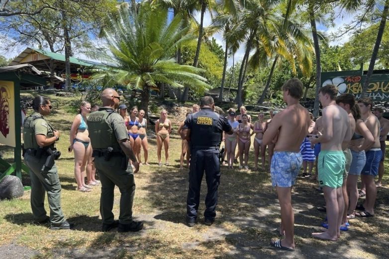 Autoridades en Hawái acusan a bañistas de acosar a delfines