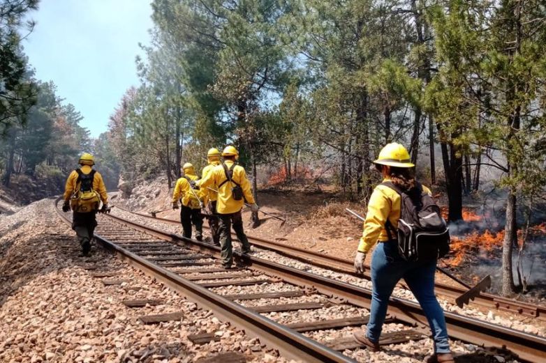 Informa Conafor Situación De Incendios Forestales En Chihuahua