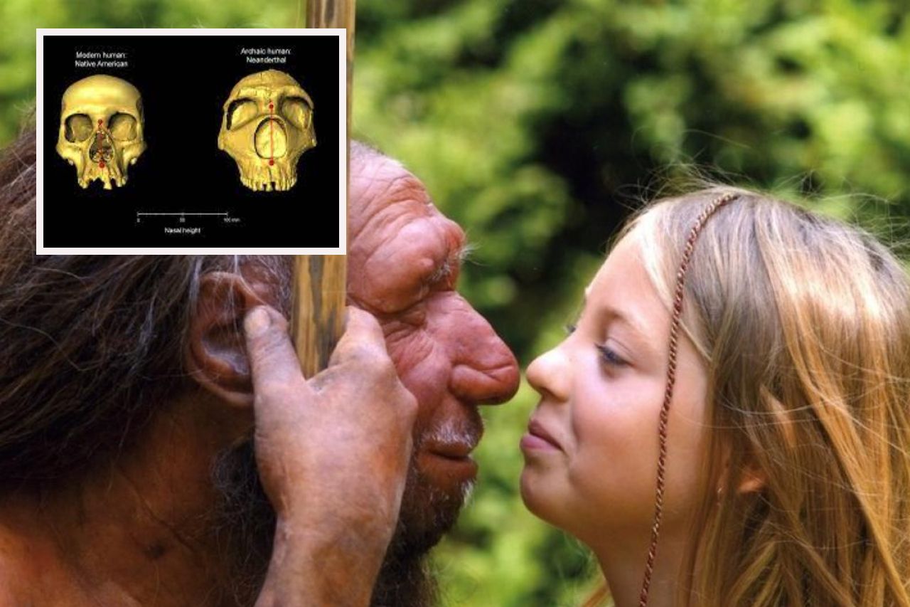 Descubren que mezcla entre humanos y neandertales fue breve y muy reciente