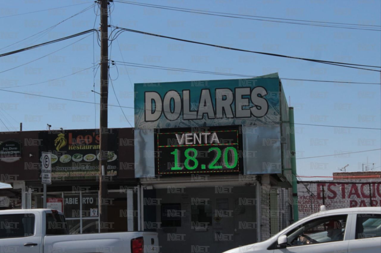 Dámaris Arellanes