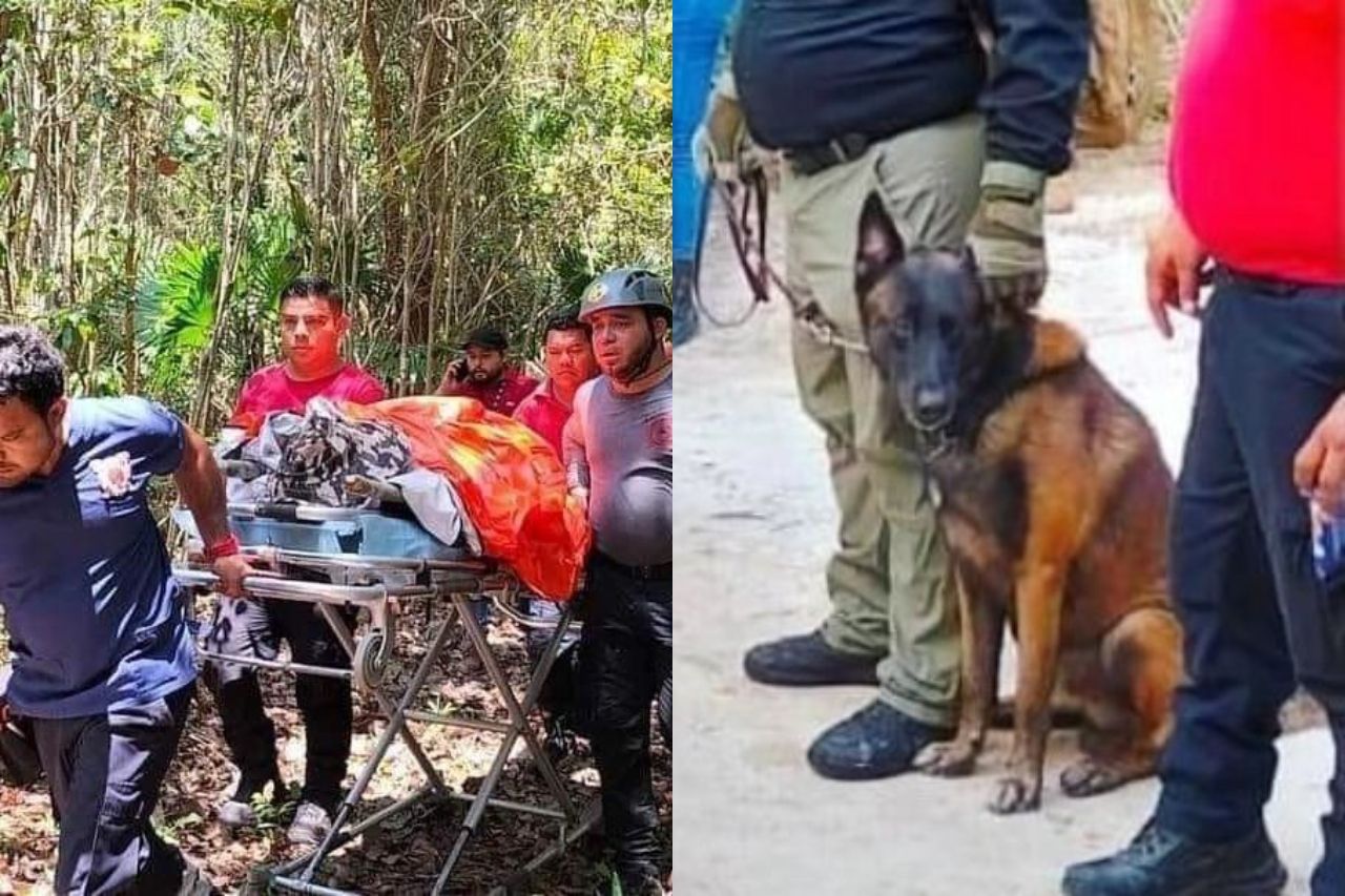 Rescatan a niña de selva de Quintana Roo; estuvo ahí una semana