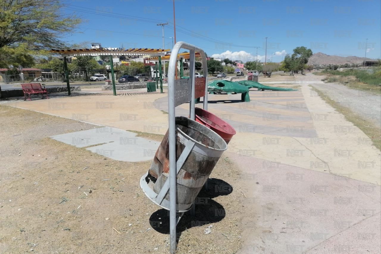 Limpian el Parque de las Tortugas