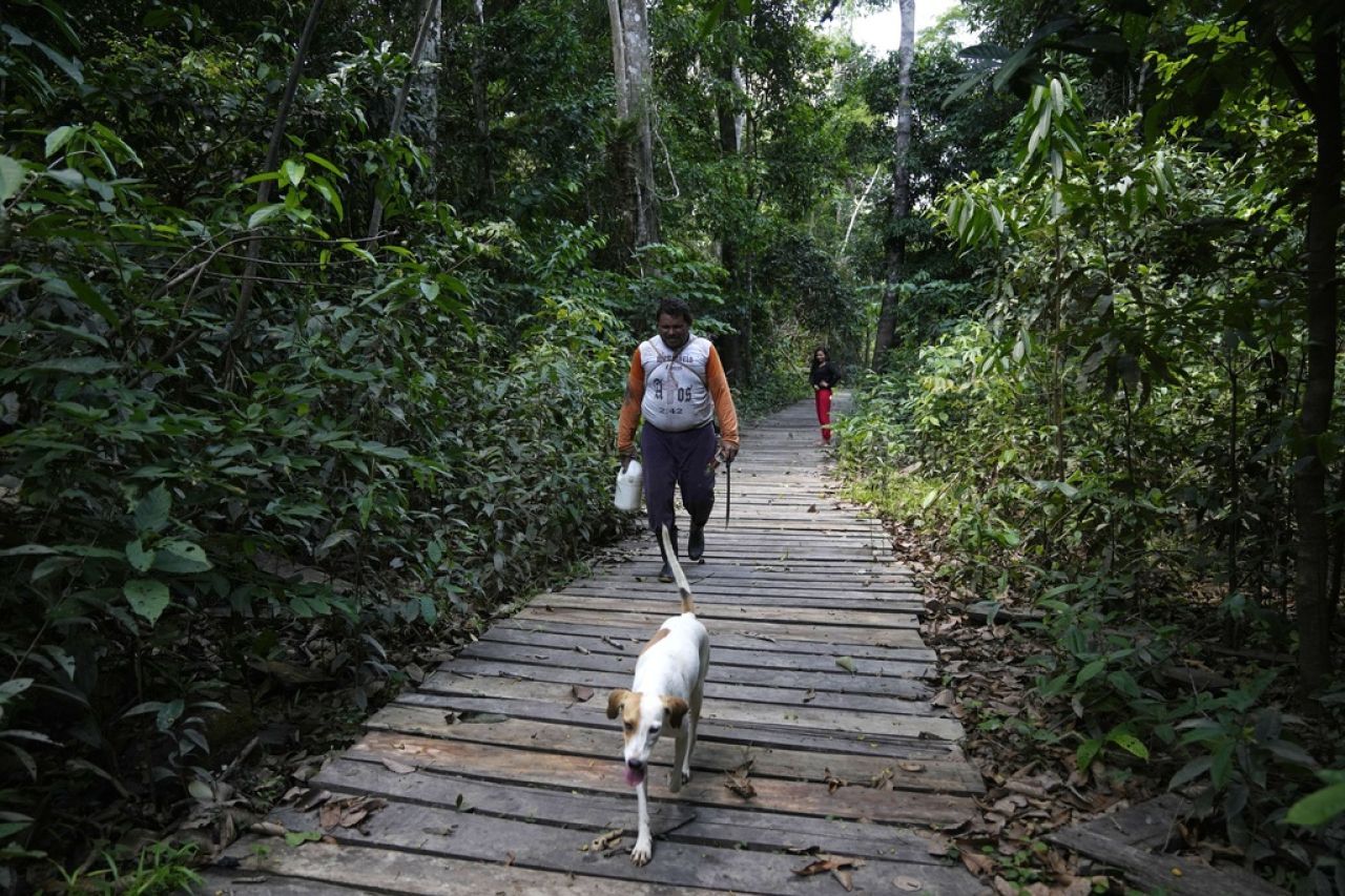 Ecologistas cambian enfoque contra la deforestación en la Amazonía