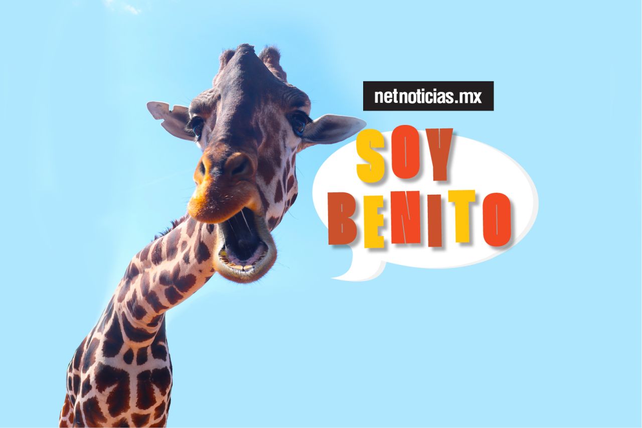 Soy Benito: La mascota de Juárez