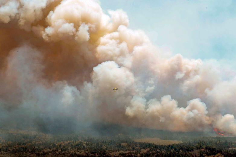 Lluvia favorece combate de incendios forestales en Canadá