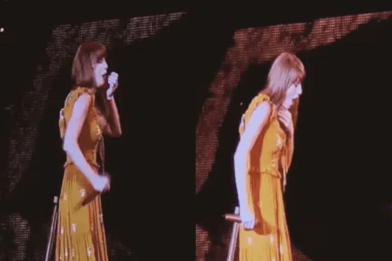 Video: Se traga Taylor Swift insecto en pleno concierto