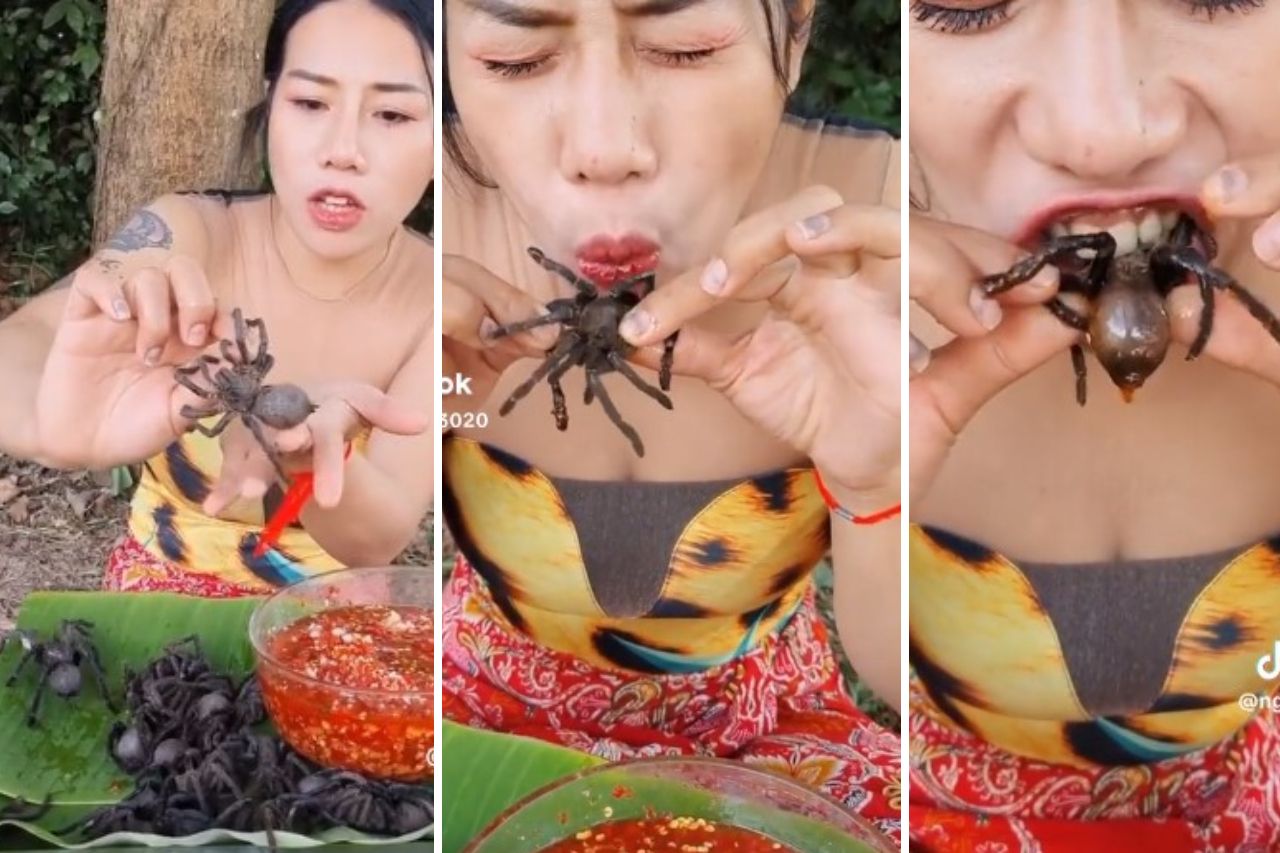 Video: Tiktoker china asombra a todos devorando tarántulas vivas