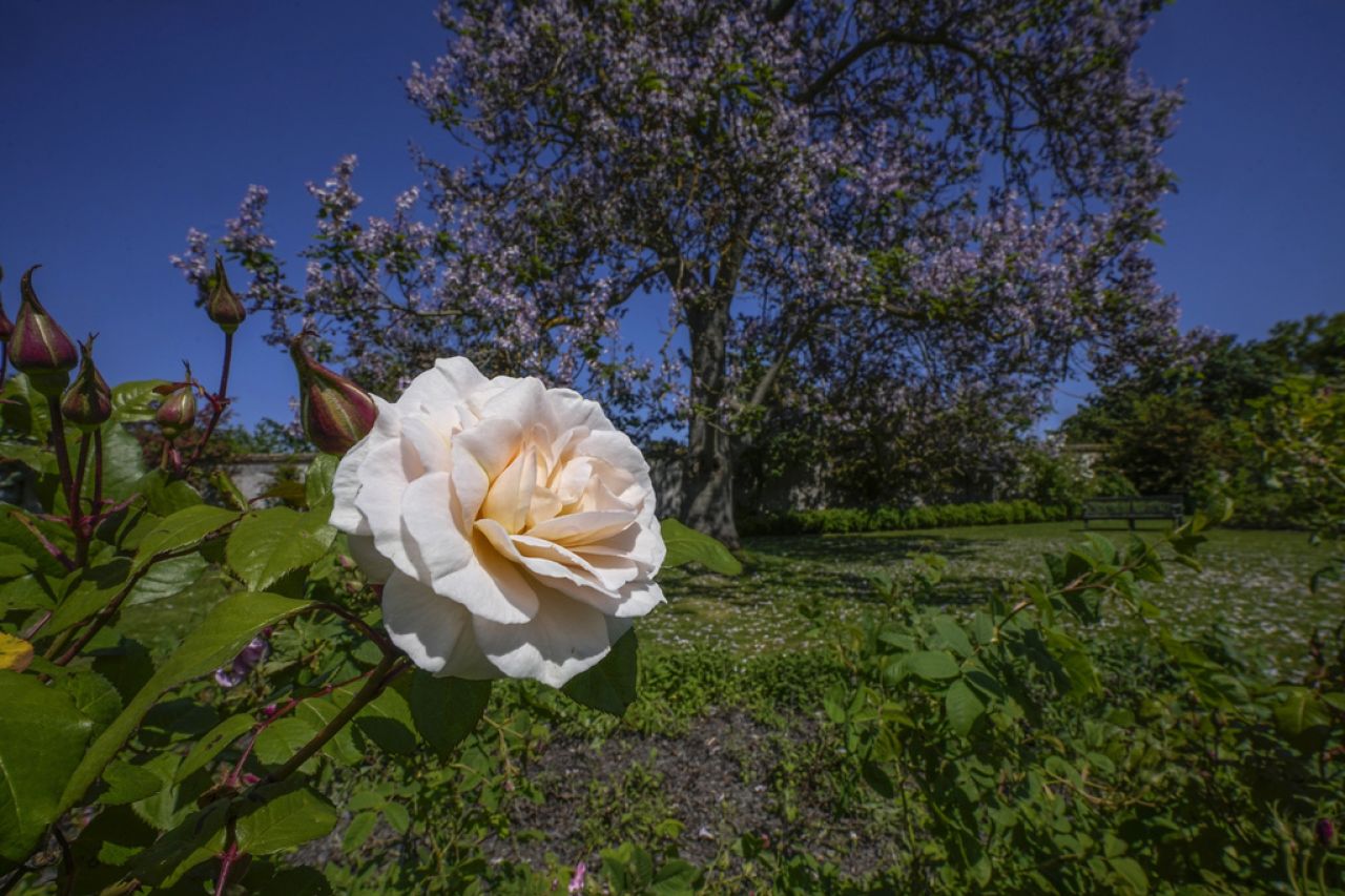 El Jardín del Perfumero de Versalles transporta al público en el tiempo