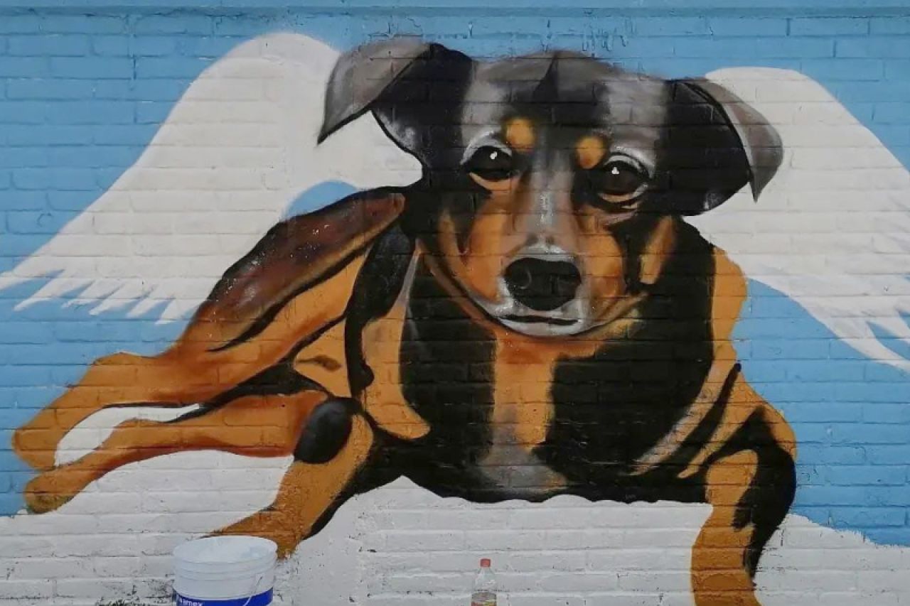 Pintan mural en honor a ‘Scooby’, perrito maltratado en Edomex