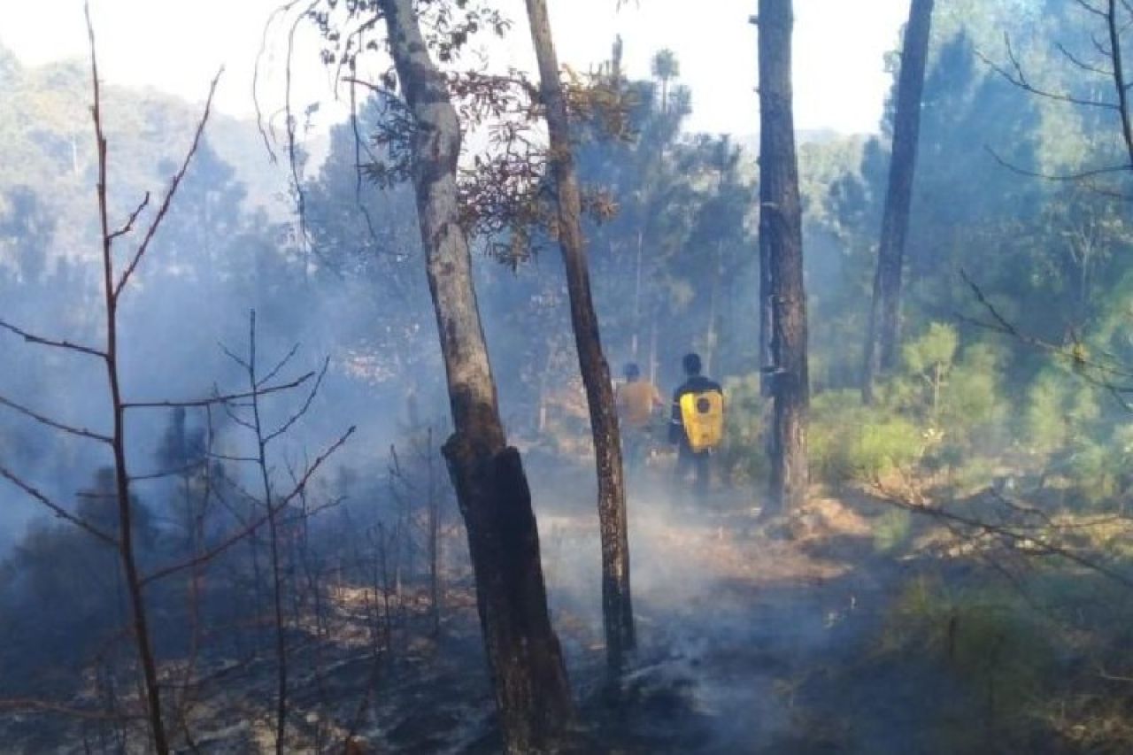 Registra Conafor 329 incendios forestales en lo que va del 2023 