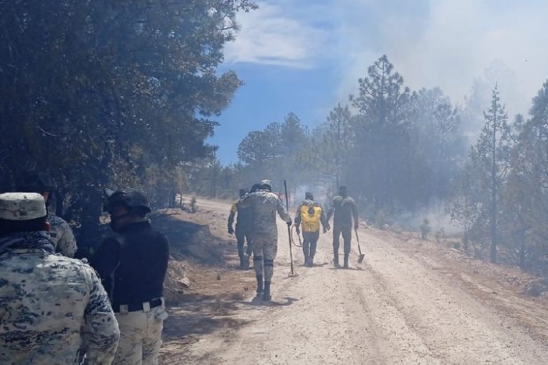 Combaten En Chihuahua 20 Incendios Forestales