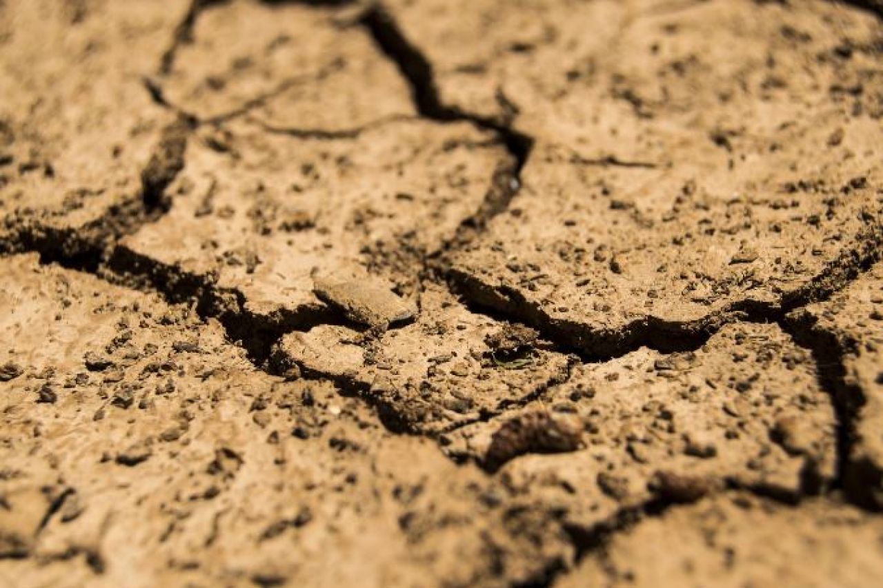 Se agrava sequía en el estado