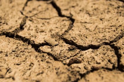 Aumenta sequía en Chihuahua