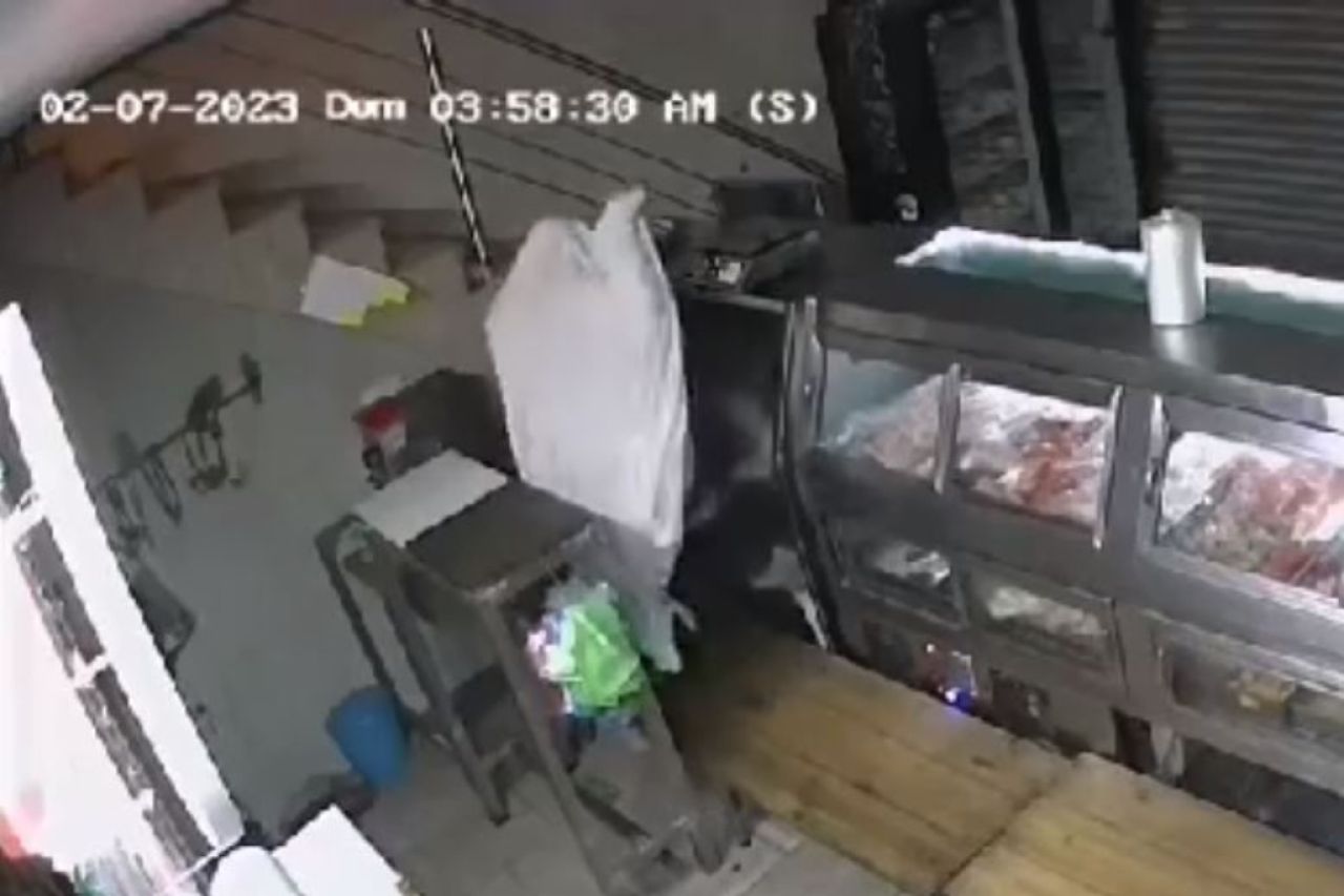 Video: 'Fantasma' se mete a robar a carnicería en Guanajuato