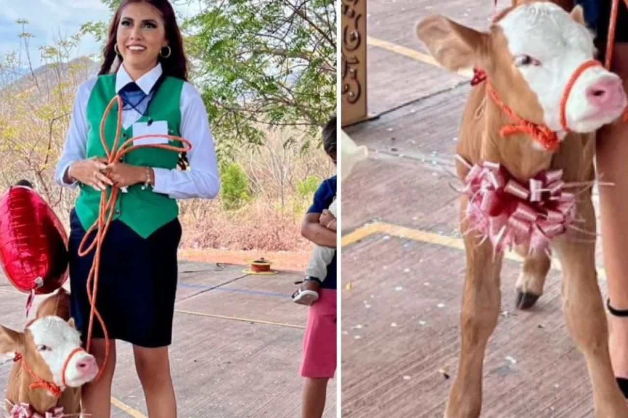 Alumna recibe un becerrito como regalo de graduación