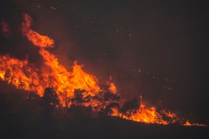 Incendios forestales afectan 29 áreas naturales protegidas en México