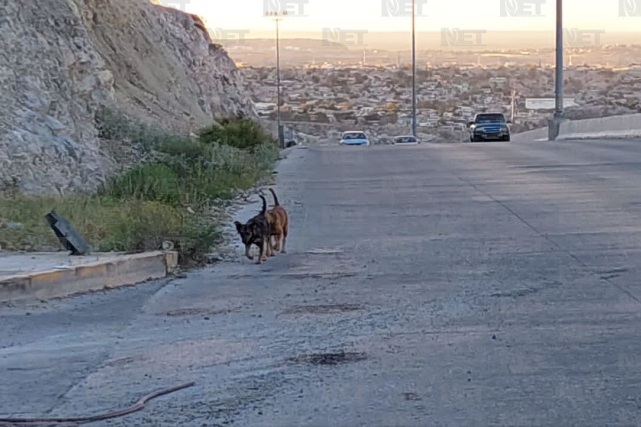 Periférico Camino Real: Una zona de riesgo