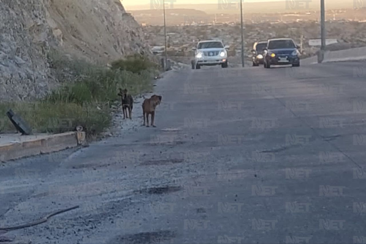 Periférico Camino Real: Una zona de riesgo