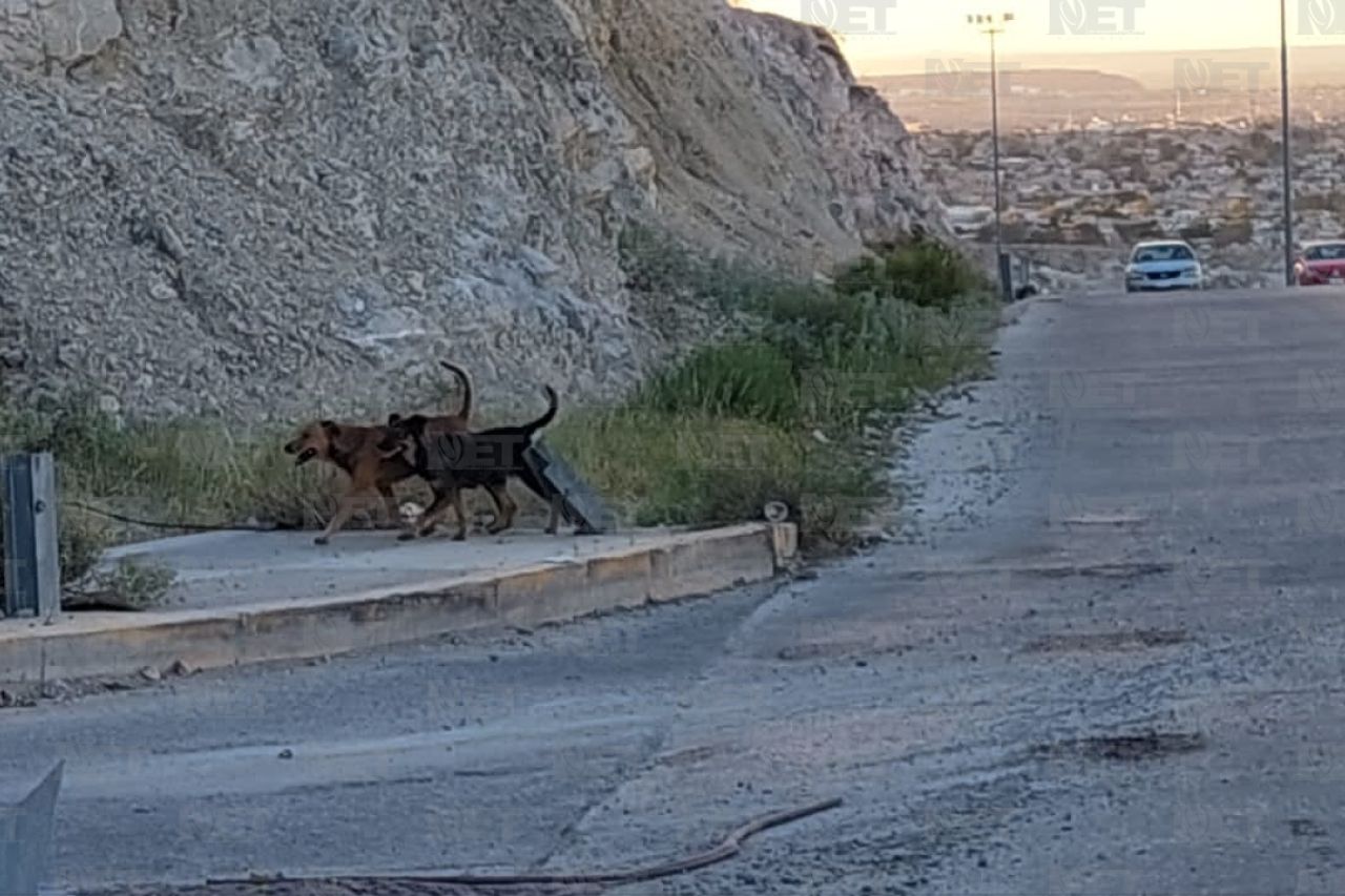 Periférico Camino Real: Una zona de riesgo