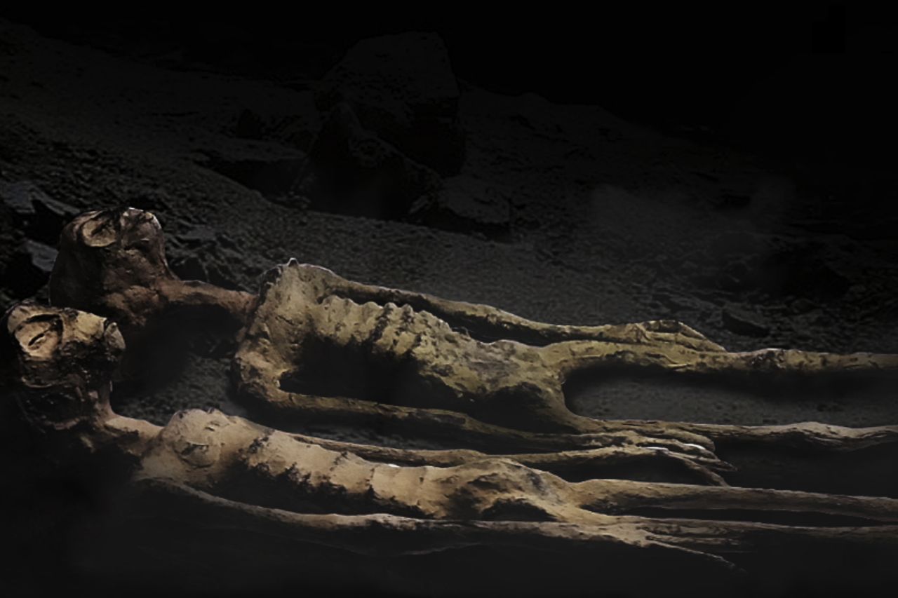 Momias de Nazca: los seres presentados por Maussan en el Congreso