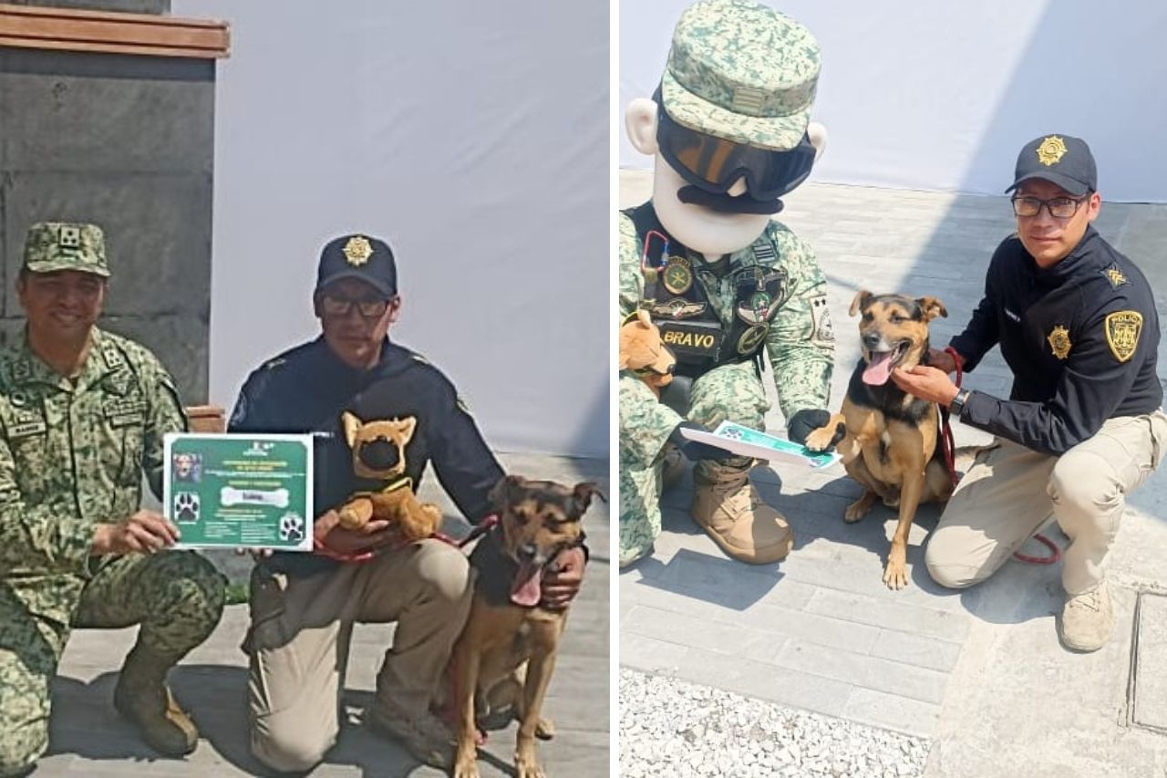 Perro se cuela en el desfile militar y recibe nombramiento de Sedena