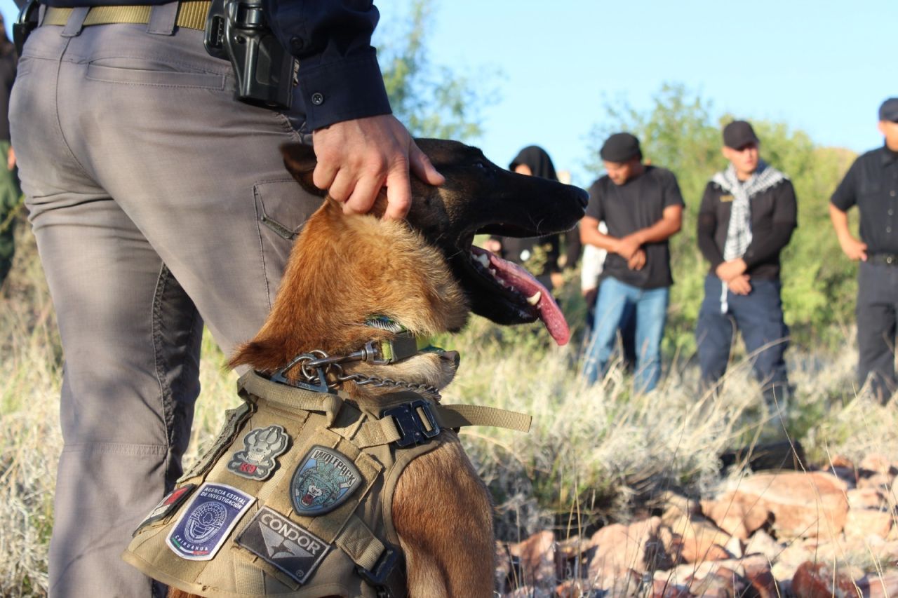 Participan cadetes de la SSPE en práctica de rastreo con la FGE