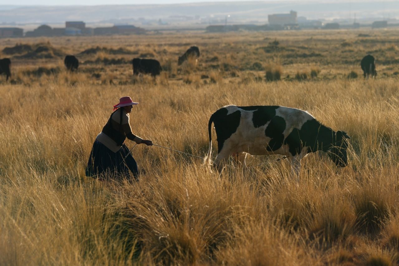Las mejores fotos de la semana en América Latina: AP