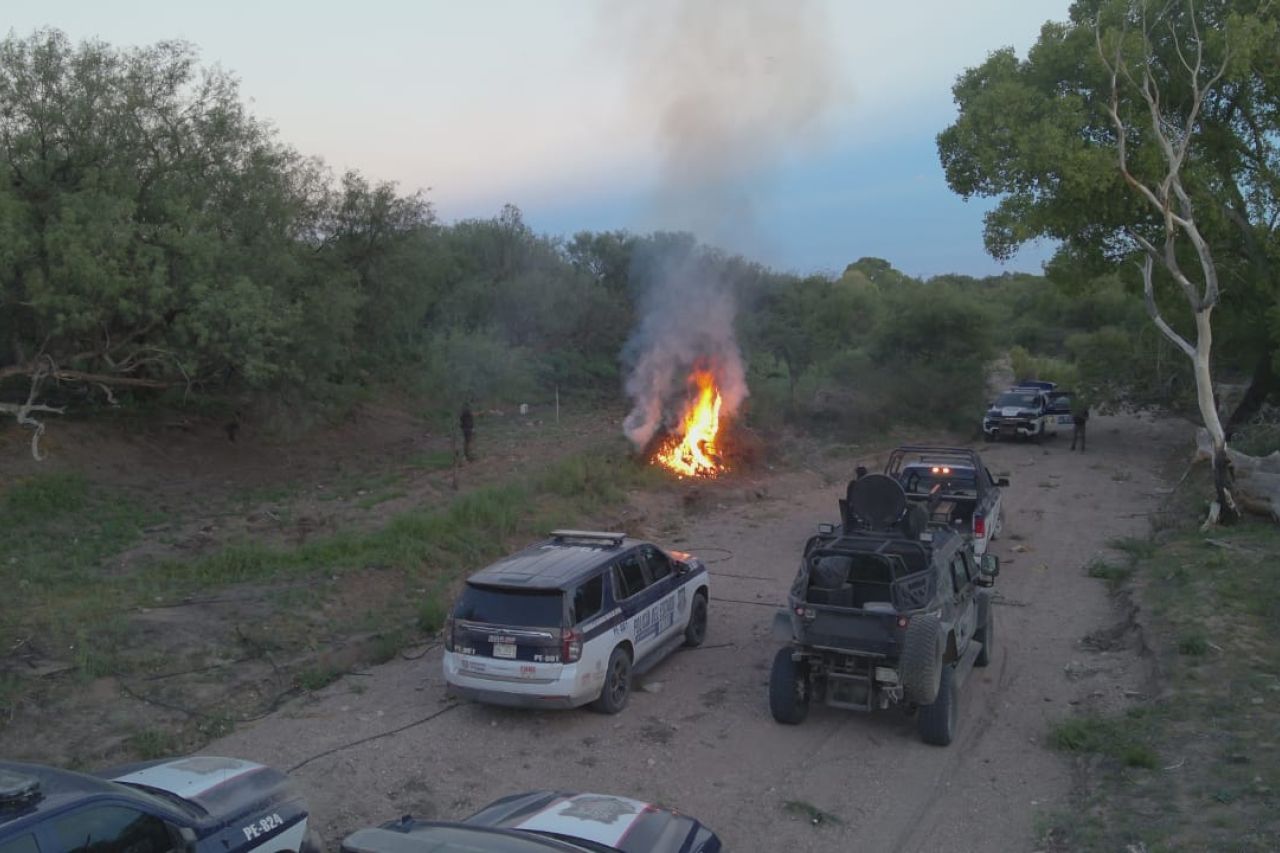 Localizan y destruyen plantíos de marihuana en Parral y Nonoava